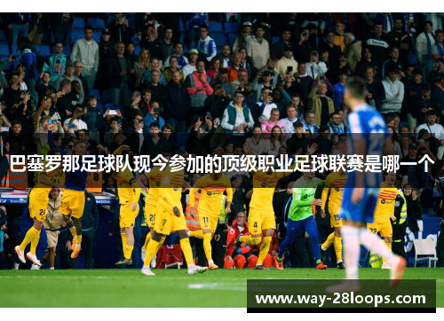 巴塞罗那足球队现今参加的顶级职业足球联赛是哪一个 巴塞罗那足球队现今参加的顶级职业足球联赛是哪一个